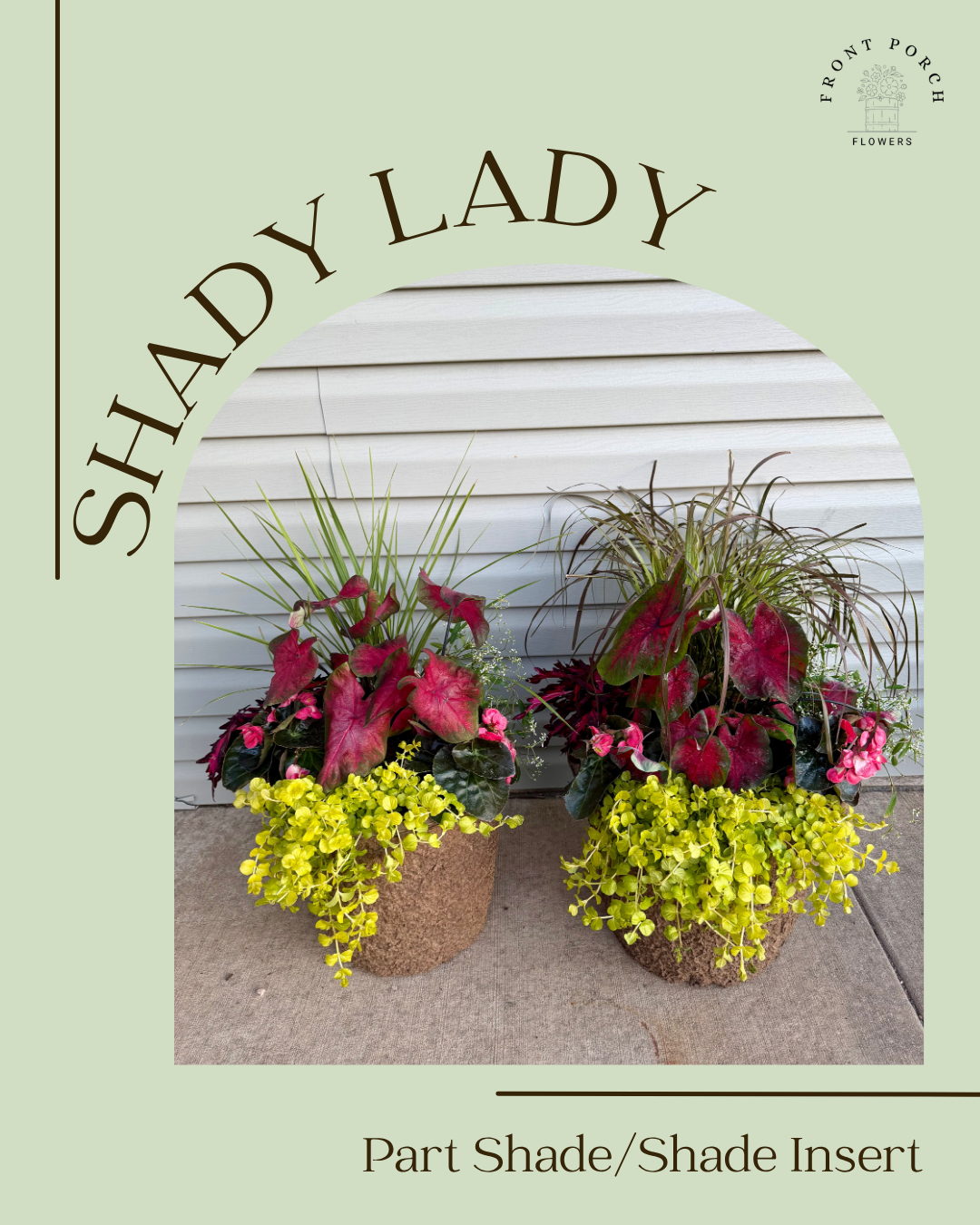 Shady Lady