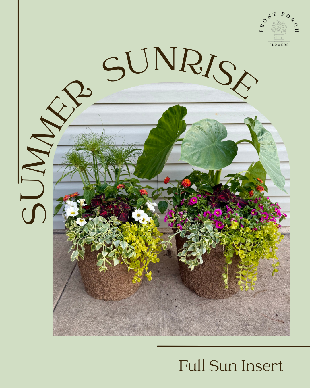Summer Sunrise