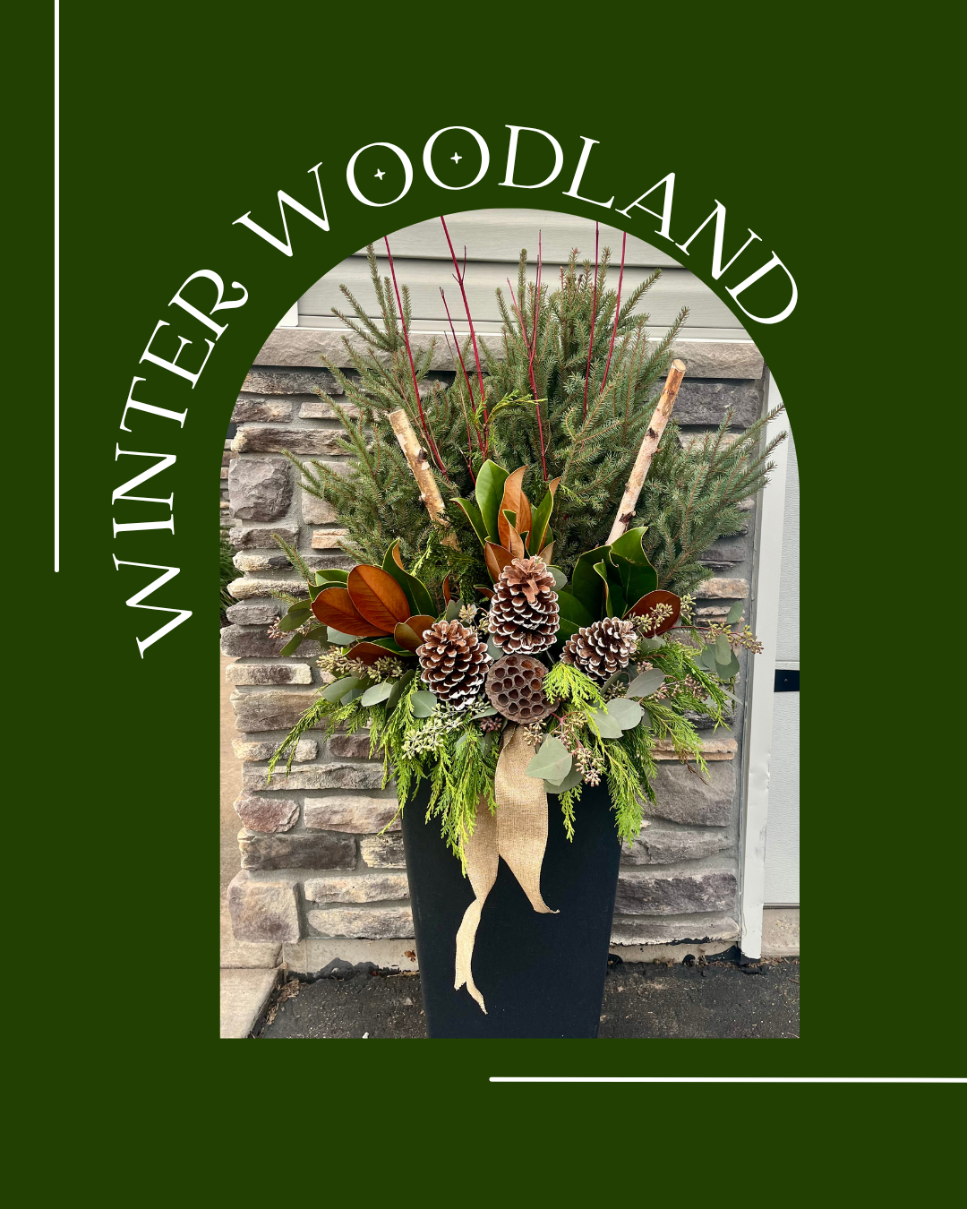 Winter Woodland Collection